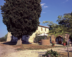 L'agriturismo 