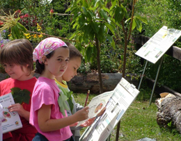 Alla scoperta delle piante del giardino di Oropa