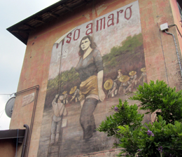 Un murales rievoca le vicende delle mondine del film 