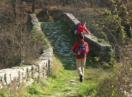 In cammino lungo la Via Francigena