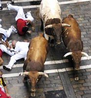 Cronaca (da Milano) del primo "Encierro" a Pamplona