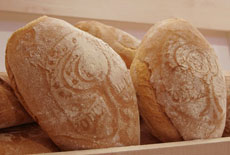 Tutte le forme del pane a Senigallia