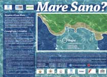 Genova, un gruppo di lavoro per il mare sano