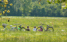 Attimi di relax dopo una pedalata nel parco di Monza