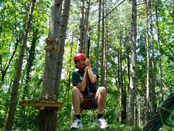 Piccoli acrobati tra gli alberi