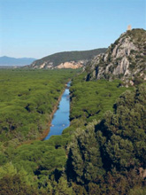 Foto: Parco Regionale della Maremma