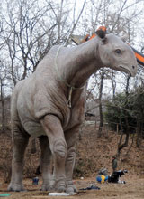 Indricotherium, il più grande mammifero terrestre, antenato del rinoceronte