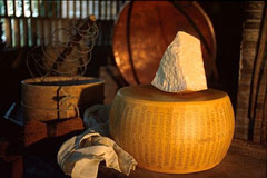 Una forma di Parmigiano Reggiano