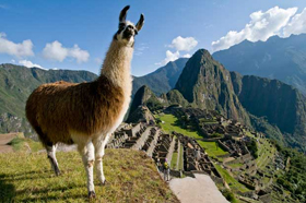 Il Perù tra le mete più gettonate nei prossimi 5 anni