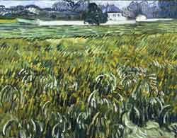 Vincent Van Gogh, casa a Auvers, Phillips collection
