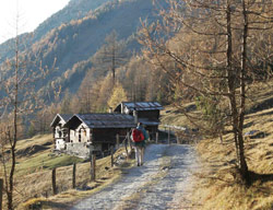 (Foto: Roberto Trabucchi)