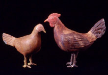 Polli e galline