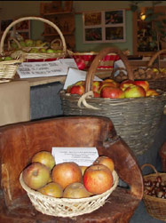 Un momento della scorsa edizione di Pomo Pero