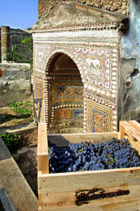 L'antico vino della Pompei archeologica