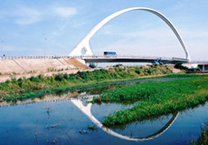 Il ponte Calatrava che si incontra sulla tratta Milano-Bologna