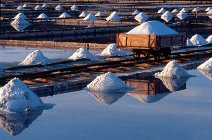 Le saline di Sicciole