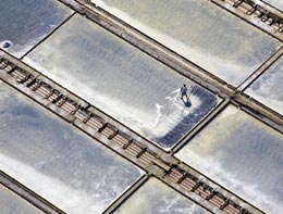Il reticolato della saline