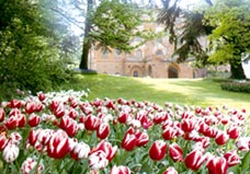 Il parco del castello di Pralormo circondato dai tulipani