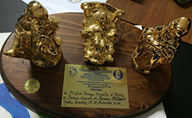 Il premio conferito a Spezzano Piccolo nel 2013 come presepe vivente più bello d'Italia