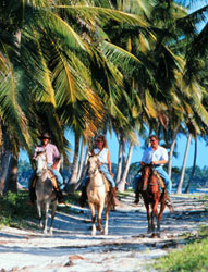 A Punta Cana, comodi come a casa