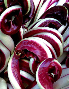 Radicchio di Treviso