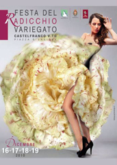 Castelfranco Veneto tra radicchio e vino