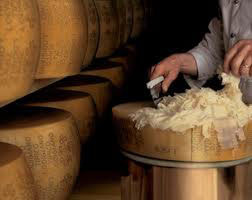 Pianura Padana Raspadüra lodigiana