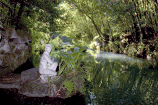 A Caserta il parco più bello d'Italia 2 Reggia di Caserta: Giardino Inglese