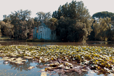 A Caserta il parco più bello d'Italia 3 Reggia di Caserta: il parco