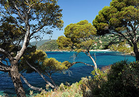 Passeggiata marina nel Domaine du Rayol