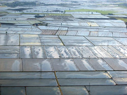 Un fine settimana in risaia 4 Le risaie del vercellese come un