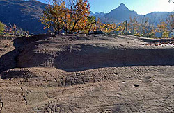 incisioni ripestri La grande roccia n° 12 di Seradina (Foto: Archeocamuni)