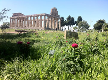 A Paestum sbocciano le rose di Virgilio e Properzio