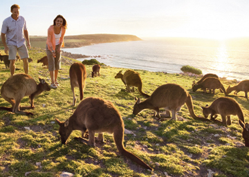 Non c'è niente come l'Australia...