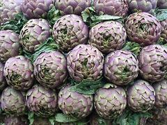 A Ladispoli la festa del carciofo romanesco