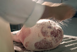All’asta il prosciutto di Parma 2 Salatura di una coscia