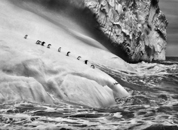 Genesi Isole South Sandwich, 2009 - © Sebastião Salgado/Amazonas Images