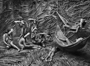 Genesi Brasile, 2009 - © Sebastião Salgado/Amazonas Images