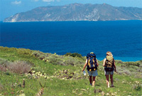 Isola di Santa Catalina, nuove attrazione per l'autunno