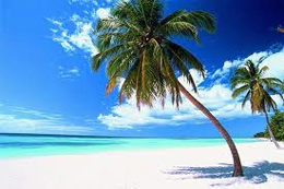 Nuova franchigia bagagli per Santo Domingo 4 Nuova franchigia bagagli per Santo Domingo