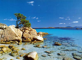 Aiutiamo la Sardegna prenotando le vacanze sull'isola 1 Mare paradisiaco