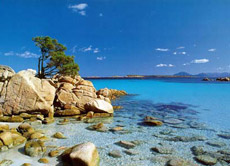 Istat, nel 2009 meno viaggi per gli italiani