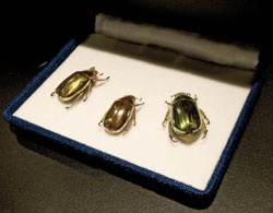 Gioielli con le zampe 4 Gioielli con le zampe