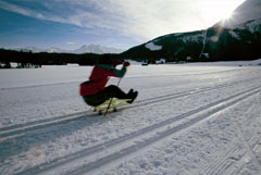 Sci da fondo su slittino a Lautasch

