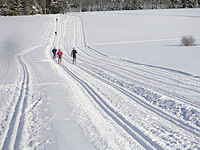 Sci di fondo a Nove Mesto na Morave