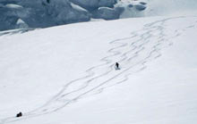 Scialpinismo