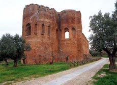 Calabria, apre un nuovo museo archeologico 2 Edificio nel Parco Archeologico Scolacium