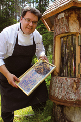 Un invito a conoscere le api (Foto: Martin Utberg)