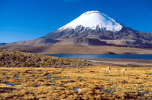 Uno degli itinerari proposti parte della Patagonia per arrivare in Antartide