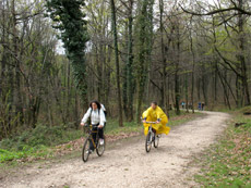 cicloturismo Pedalare lungo i sentieri di un bosco